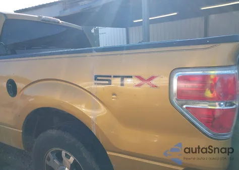 2009 Ford F-150 Stx/Xl z USA, uszkodzony, nr VIN 1FTRX12W49KB44839